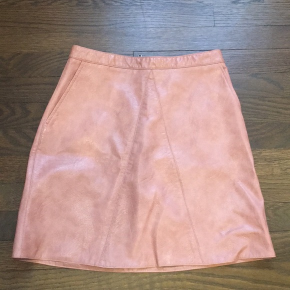 Zara Dresses & Skirts - NWOT ZARA Basics Women’s S Pink Leather Mini Skirt
